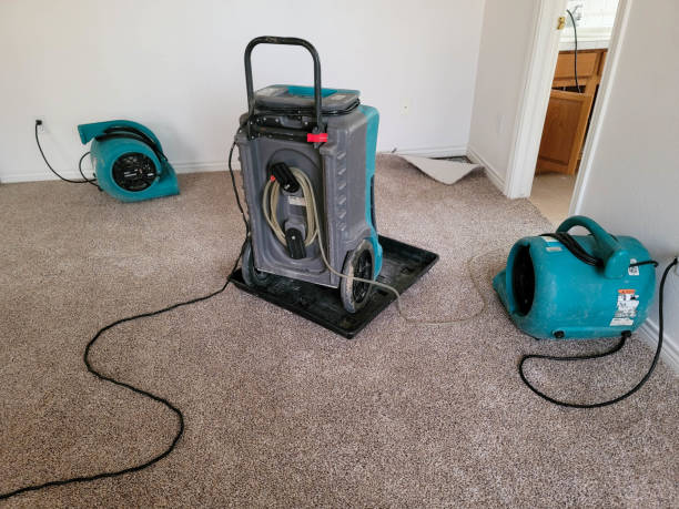 Best Water damage mitigation services  in Lido Beach, NY