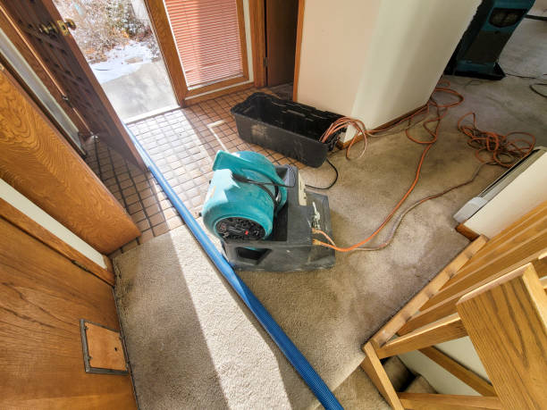 Best Emergency water damage restoration  in Lido Beach, NY