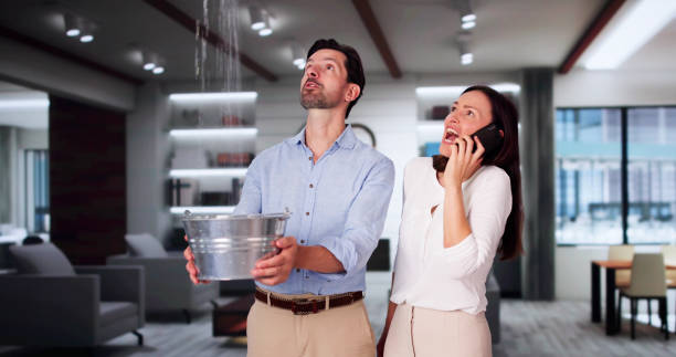Best Flood damage cleanup  in Lido Beach, NY