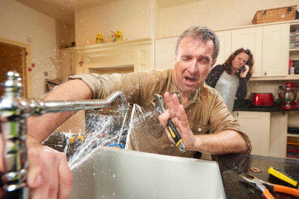 Best Flooded house restoration  in Lido Beach, NY